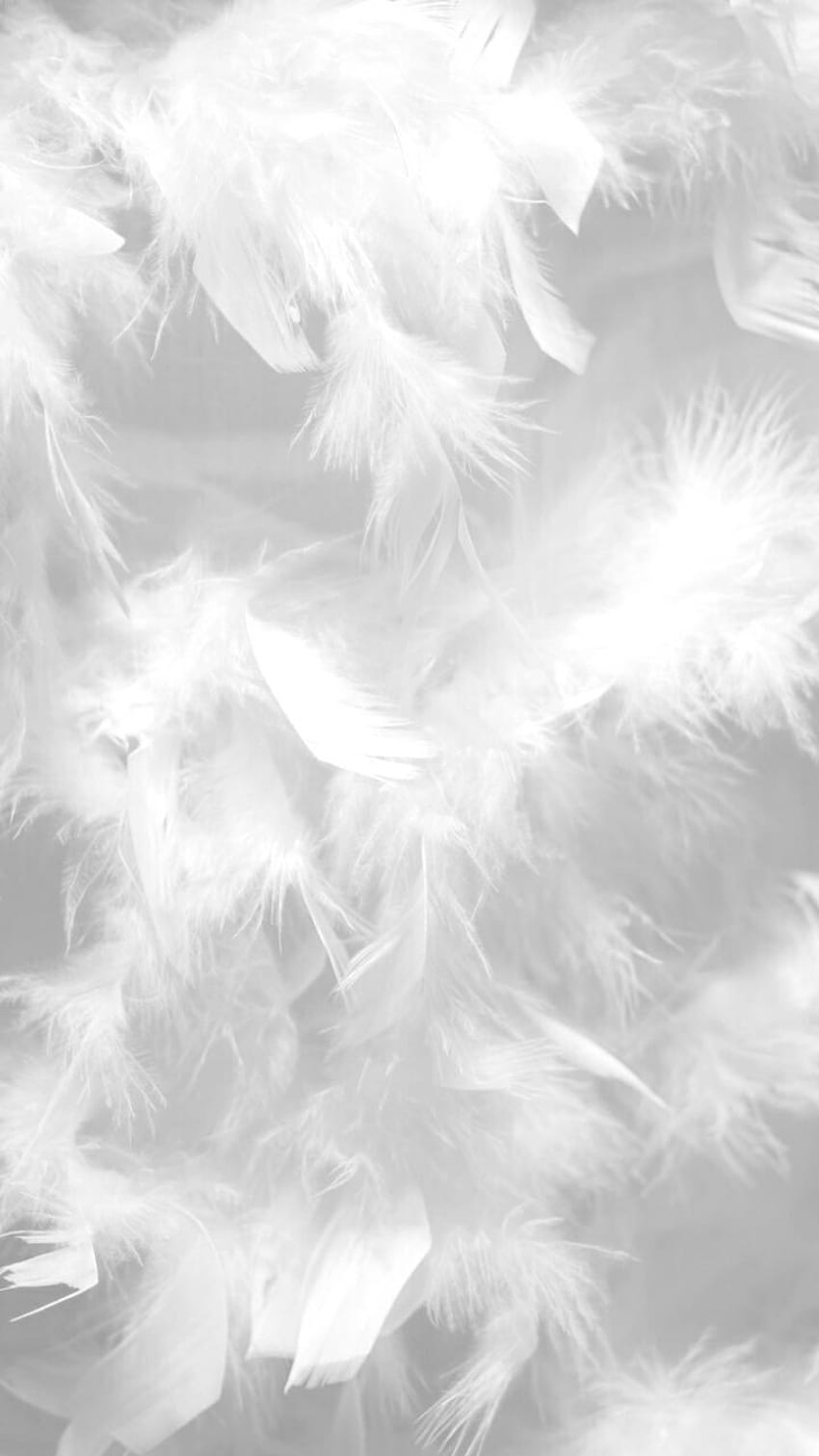 깃털, 심미적 흰색 HD 전화 배경 화면