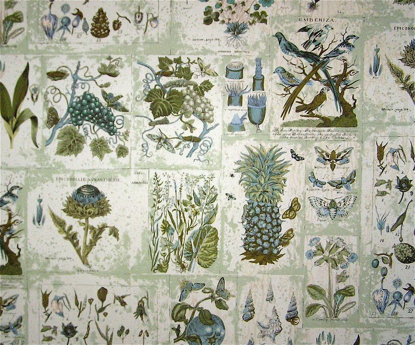 Botánico vintage fondo de pantalla