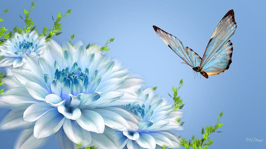 1 Spring Butterfly Magical Nature, natura delle farfalle Sfondo HD