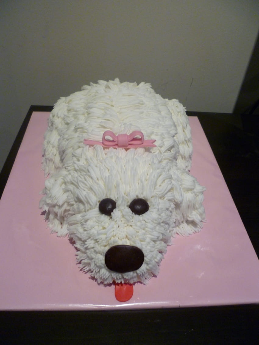 Pasteles de cumpleaños con forma de perro fondo de pantalla del teléfono |  Pxfuel