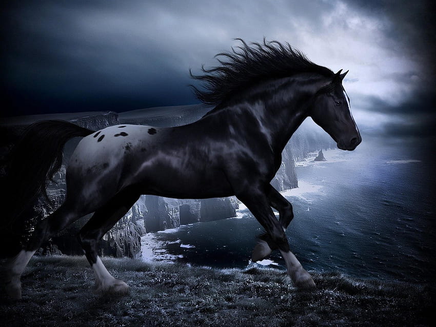 Black Horses, black wild horses HD wallpaper