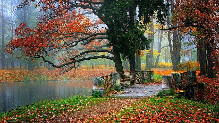 L'albero di autunno lascia il ponticello del lago del paesaggio della natura di bellezza, paesaggio della natura degli alberi bei Sfondo HD