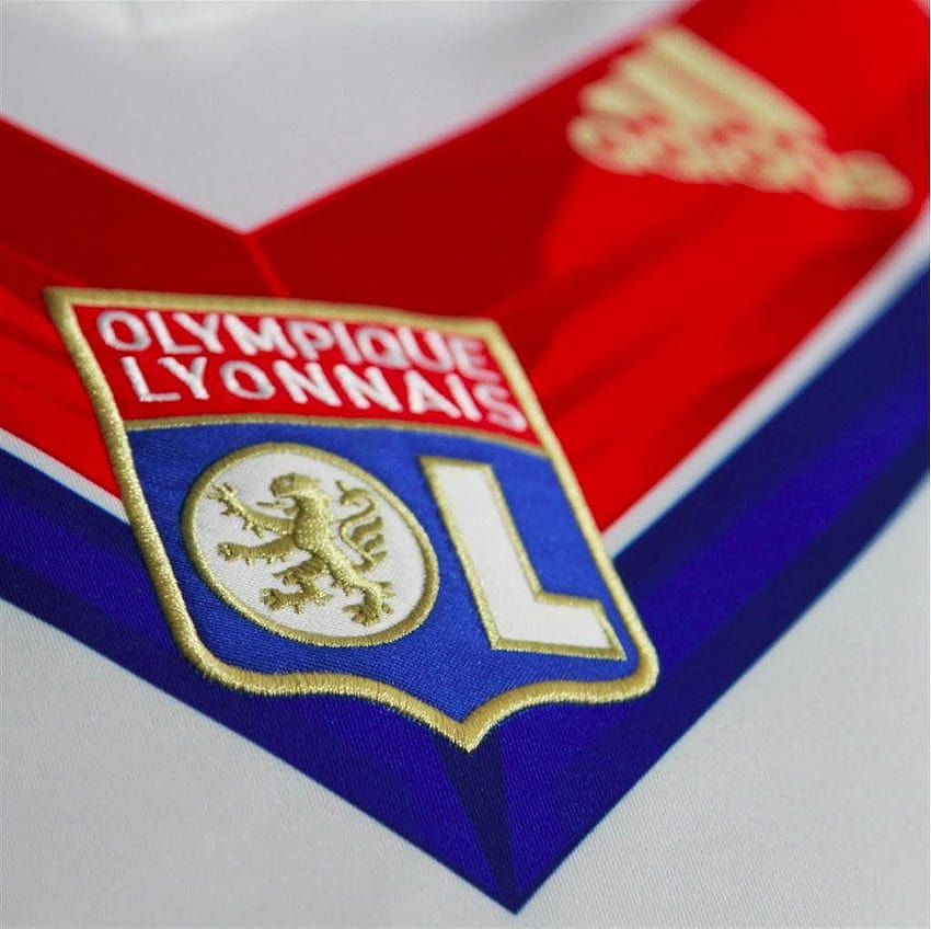 Le Groupe Olympique Lyonnais recrute ! HD wallpaper
