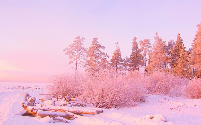 ธรรมชาติสีชมพูอ่อน ภูมิทัศน์หิมะที่สวยงามสีชมพู วอลล์เปเปอร์ HD