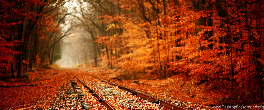 Kereta Api Penuh Dengan Latar Belakang Daun Musim Gugur, musim gugur 3440x1440 Wallpaper HD
