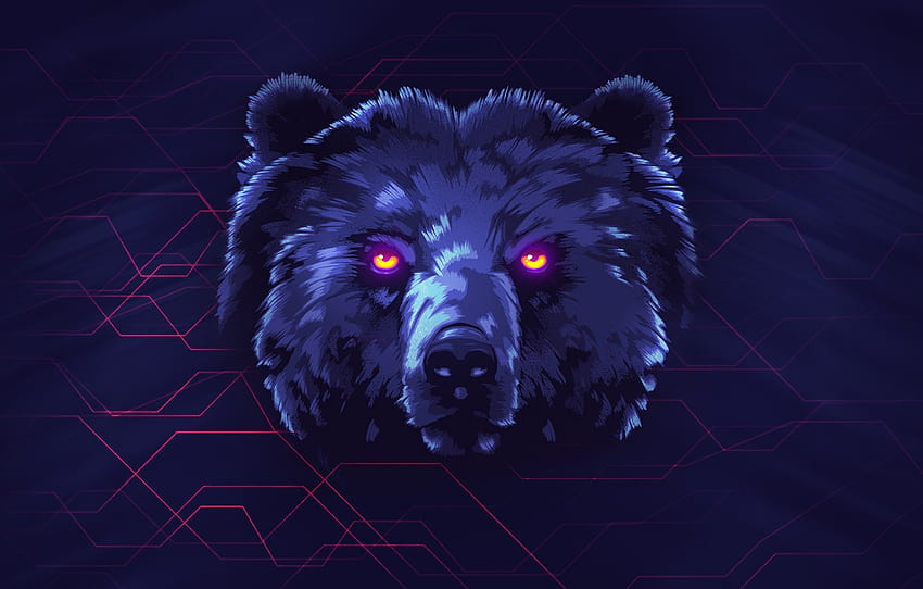 3 Bear, cool bear HD wallpaper