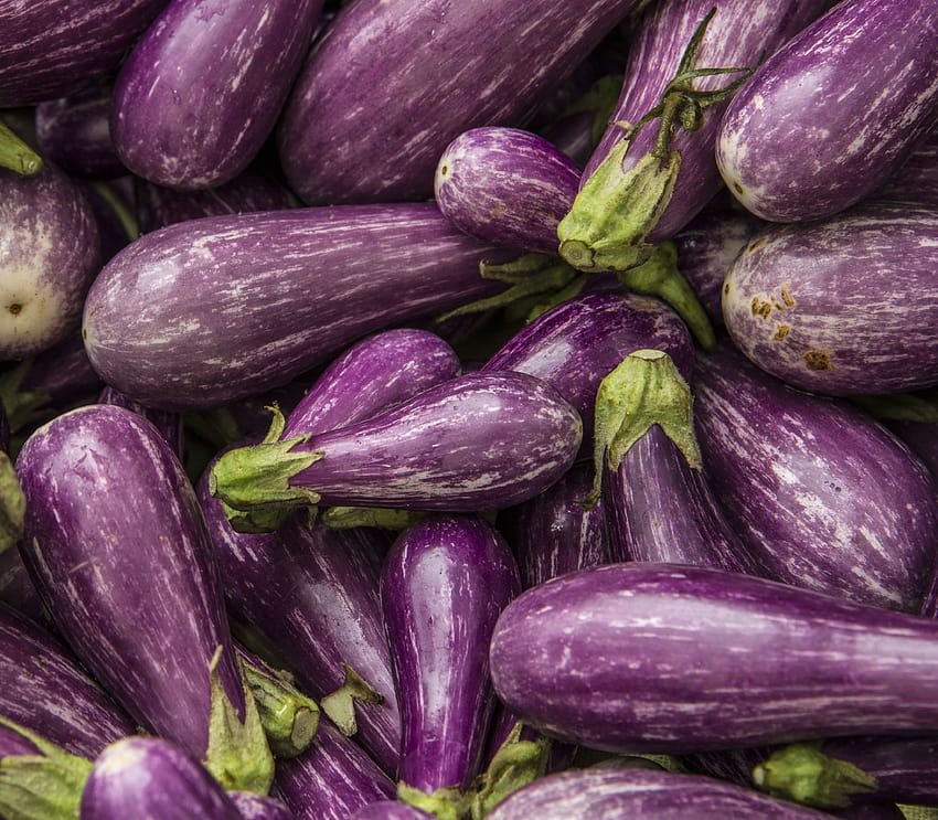 22 Eggplant HD wallpaper