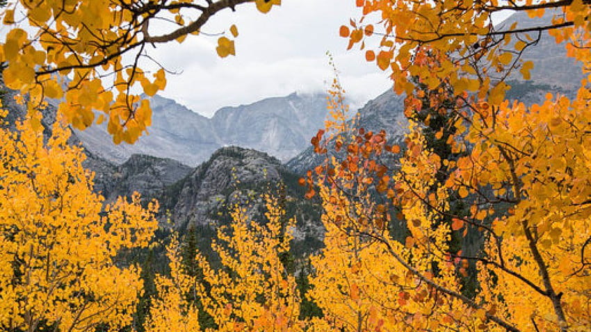 5 Tempat HEBAT untuk melihat warna musim gugur di Colorado saat ini, Elk Mountains Maroon Lake Colorado Wallpaper HD