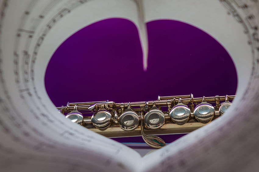 classic, flute, heart, instrument, love of music, music, musical, piccolo instrument HD wallpaper