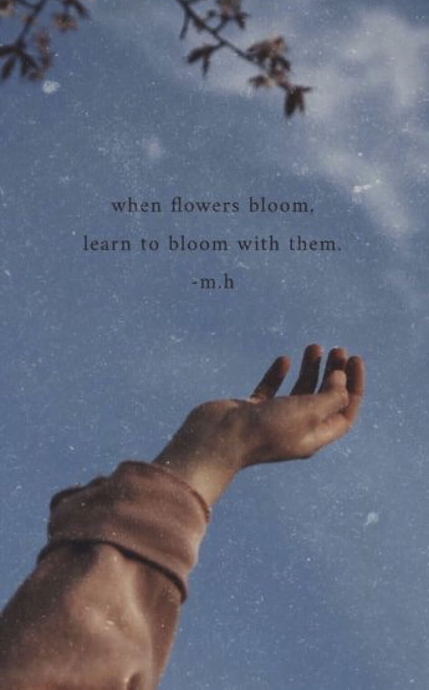 Sad Girl Aesthetic Quote, lonely aesthetic quotes HD phone wallpaper