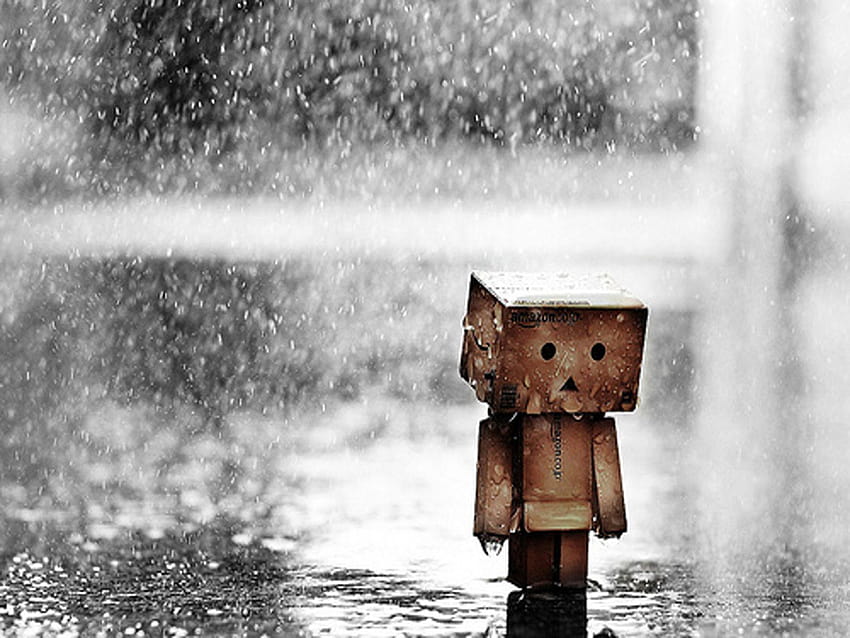 Sad Boxman Under Heavy Rain, sad pic HD wallpaper