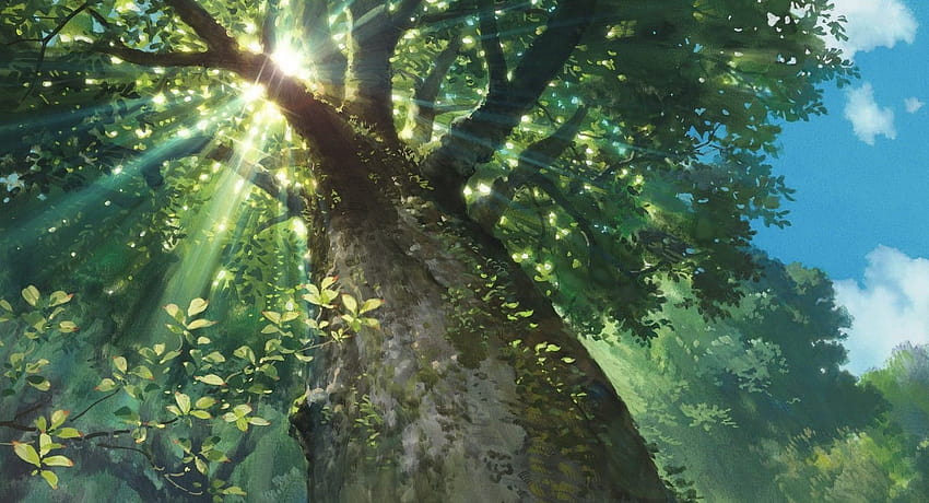 natura, luce del sole, alberi, raggi del sole, veduta di Worms Eye, Studio Ghibli, arietty Sfondo HD