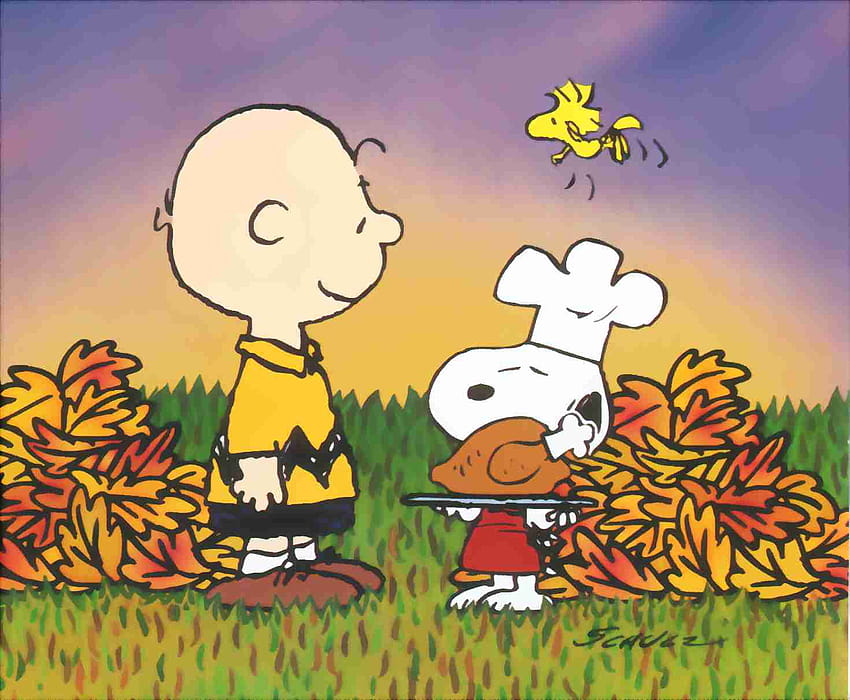 Charlie Brown Full, full screen thanksgiving HD wallpaper