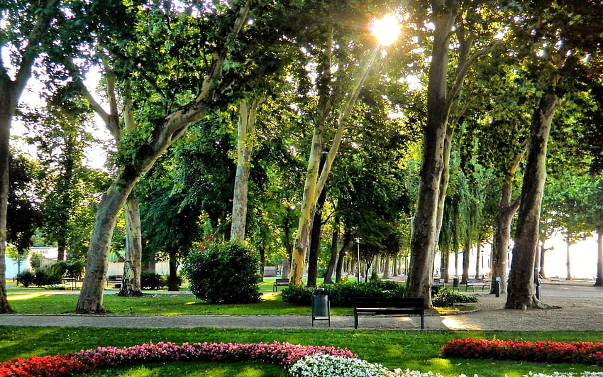 バラトン, バラトンフレド, 庭園, そして, 公園, ハンガリー, 夏 / そしてモバイルの背景, ハンガリーの夏 高画質の壁紙