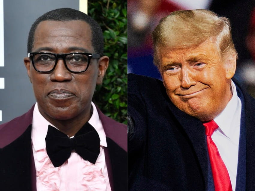 Wesley Snipes, who was jailed for failure to file taxes, claims Trump avoided tax because of 'who he knows' HD wallpaper
