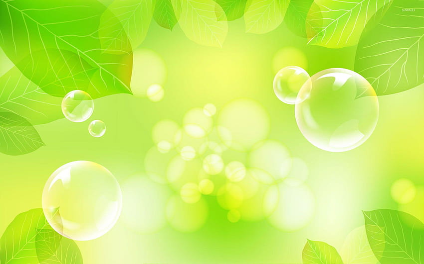 Burbujas y hojas verdes, hoja verde. fondo de pantalla