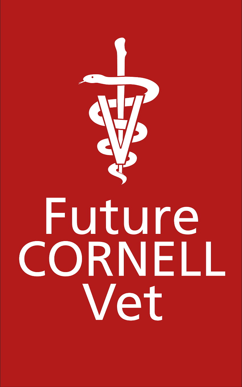 Future Vet, cornell university HD phone wallpaper