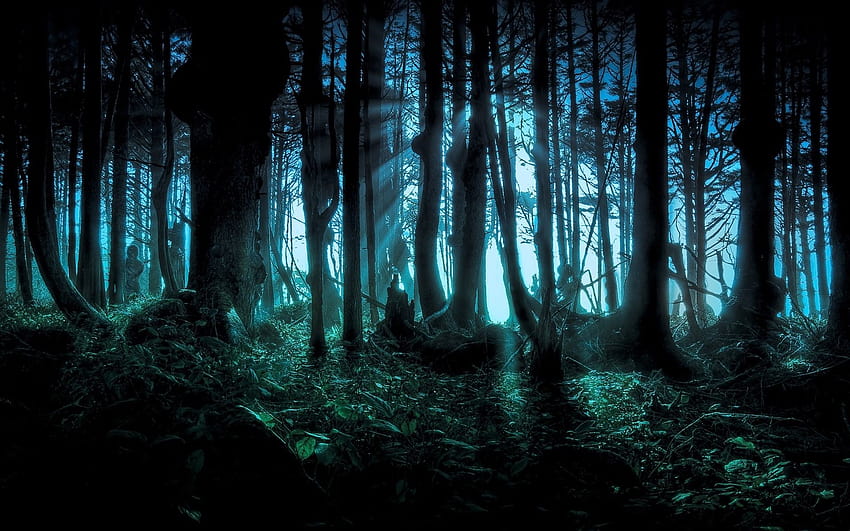 Haunted Forest HD wallpaper