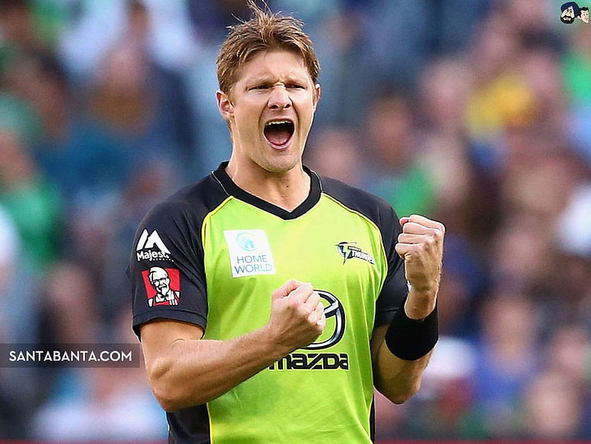 Most number of wins as Most Valuable player of IPL, Shane Watson, shane watson ipl HD wallpaper