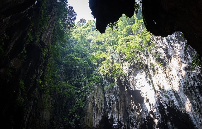 nature, cave, malaysia, caves, kuala lumpur, batu cave, malaysia jungle HD wallpaper