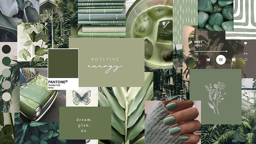 Sage green aesthetic collage, sage green 1920x1080 HD wallpaper