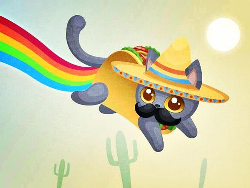 2019'da Nyan Cat, tacocat HD duvar kağıdı