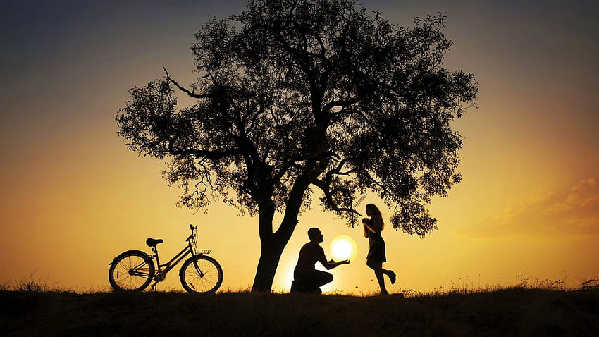 Tree, bike, silhouettes, lovers, sunset 1920x1440 , bike lover HD wallpaper