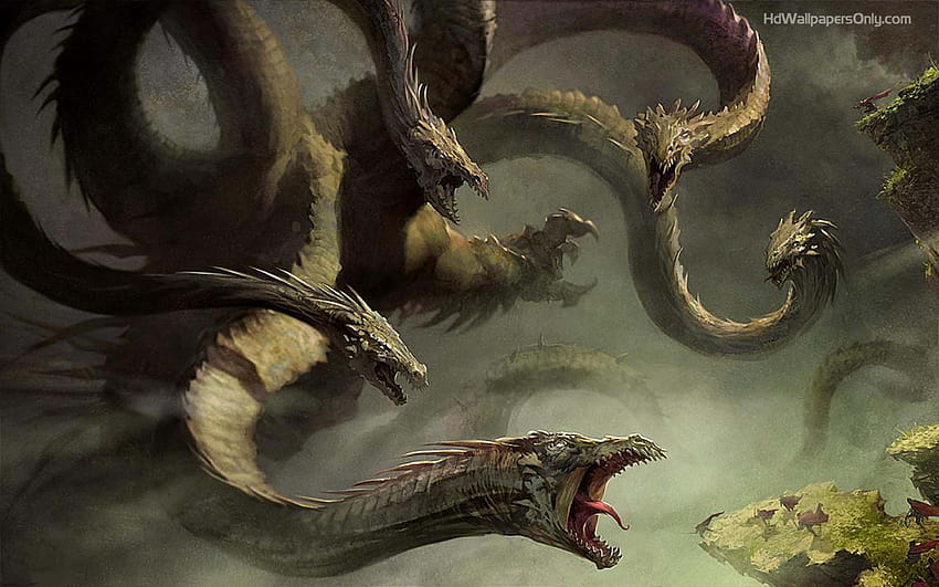 Hydra, dragon snake HD wallpaper | Pxfuel