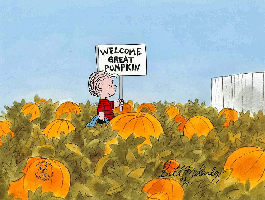 Pumpkin patch halloween autumn peanuts, peanuts fall HD wallpaper