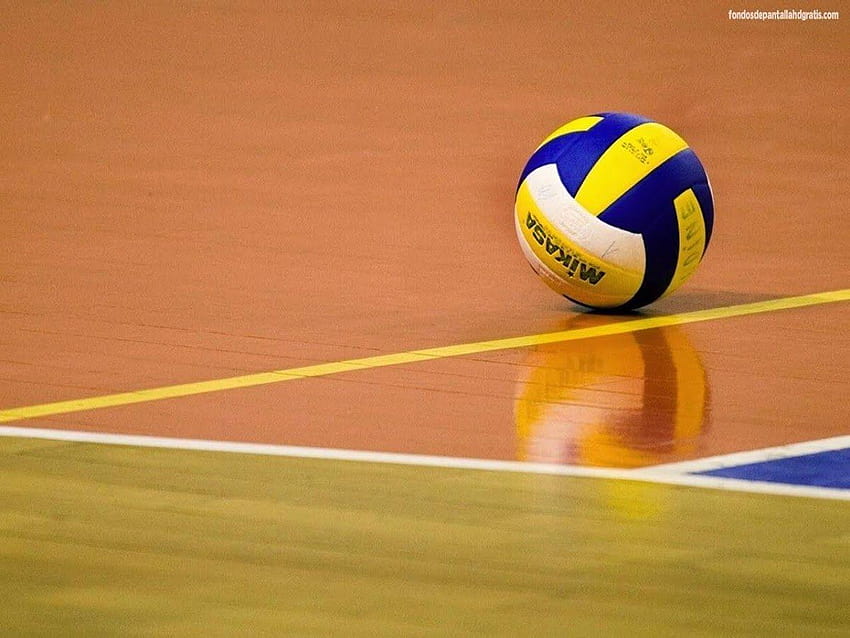 4 Indoor Volleyball, cool volleyball HD wallpaper