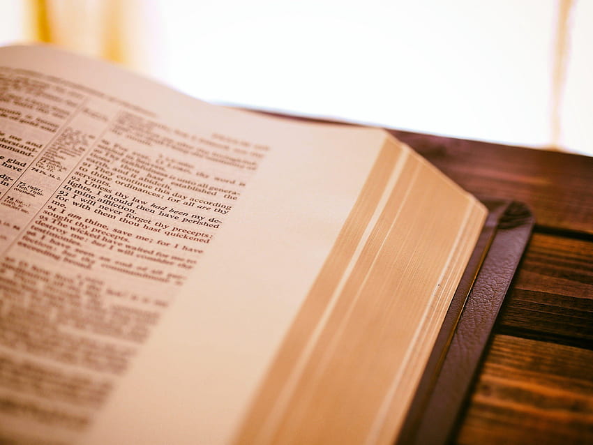 buku kitab suci dan kamus dan latar belakang Wallpaper HD