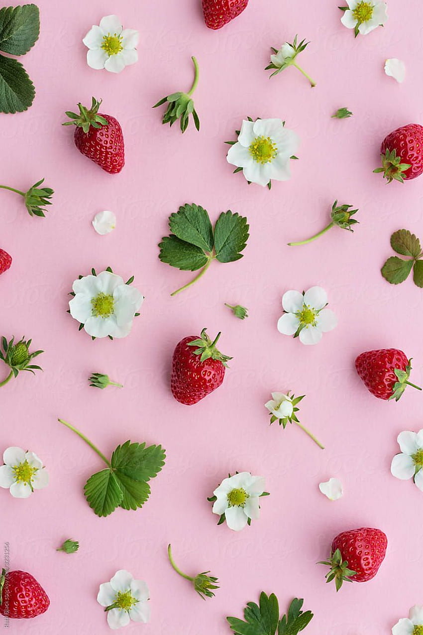 httpswwwstocksycom3231256fruits et fleurs de fraise sur un [800x1200] pour votre, mobile et tablette, esthétique des fraises Fond d'écran de téléphone HD