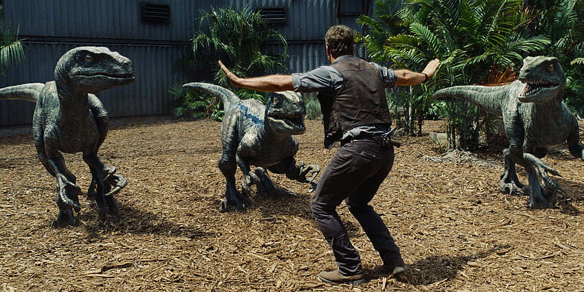 Chris Pratt lucha contra dinosaurios en Jurassic World fondo de pantalla