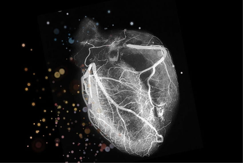 Herz und Hintergründe der Kardiologie HD-Hintergrundbild