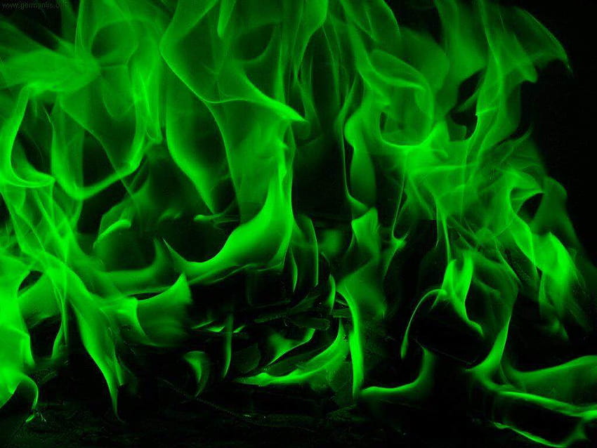 Hauch grüner Flammen HD-Hintergrundbild