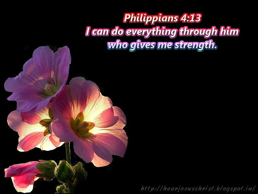 Christian : Bible Verse, philippians 413 HD wallpaper | Pxfuel