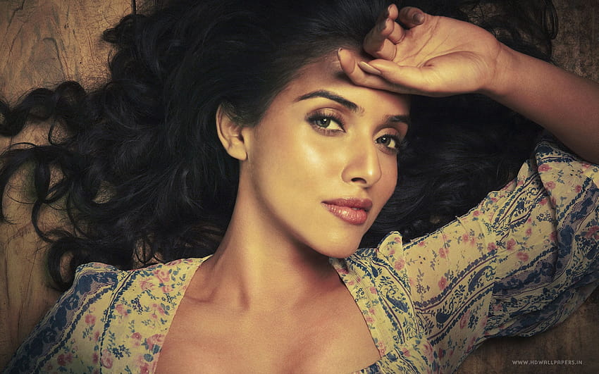 Aktorka Bollywood Asin w formacie jpg dla południowoindyjskiej aktorki z bliska Tapeta HD