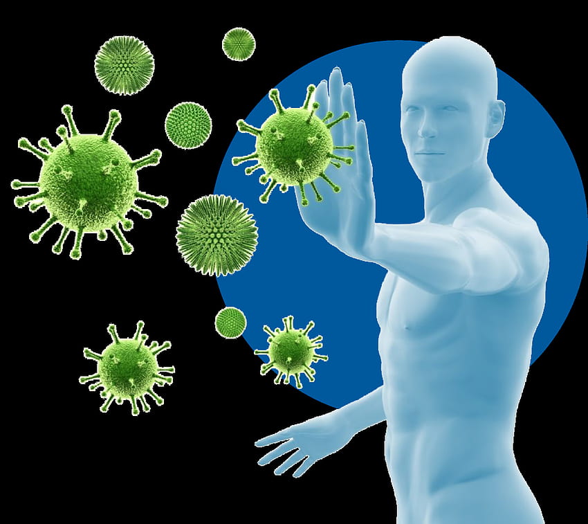 CurQlife für Immunität, Immunsystem HD-Hintergrundbild