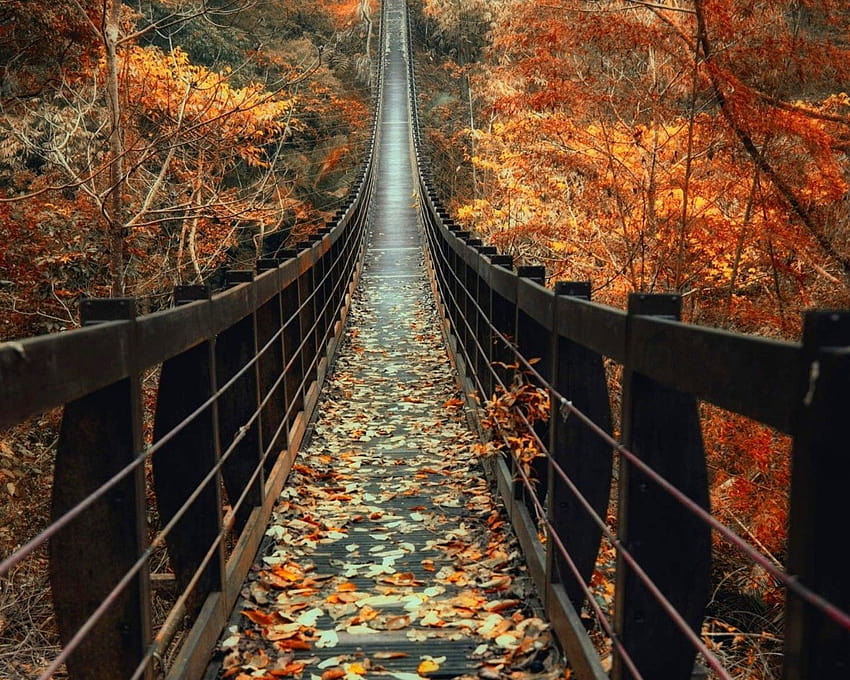 1280x1024 Autumn, Wooden Bridge, Fall, Leaves, Path, bridge autumn HD wallpaper