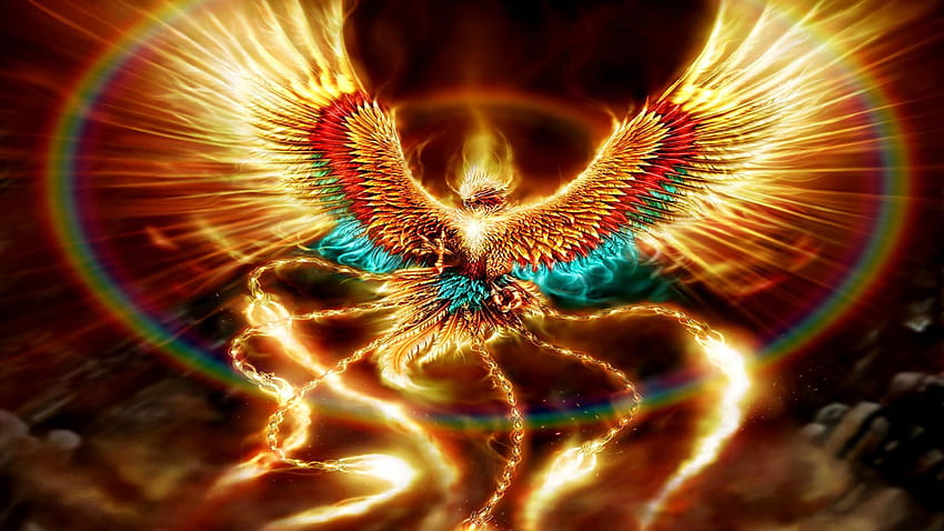 Phoenix Bird, fantasy birds HD wallpaper