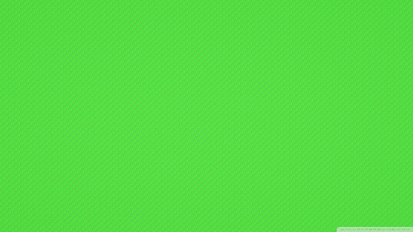 Plain Green HD wallpaper