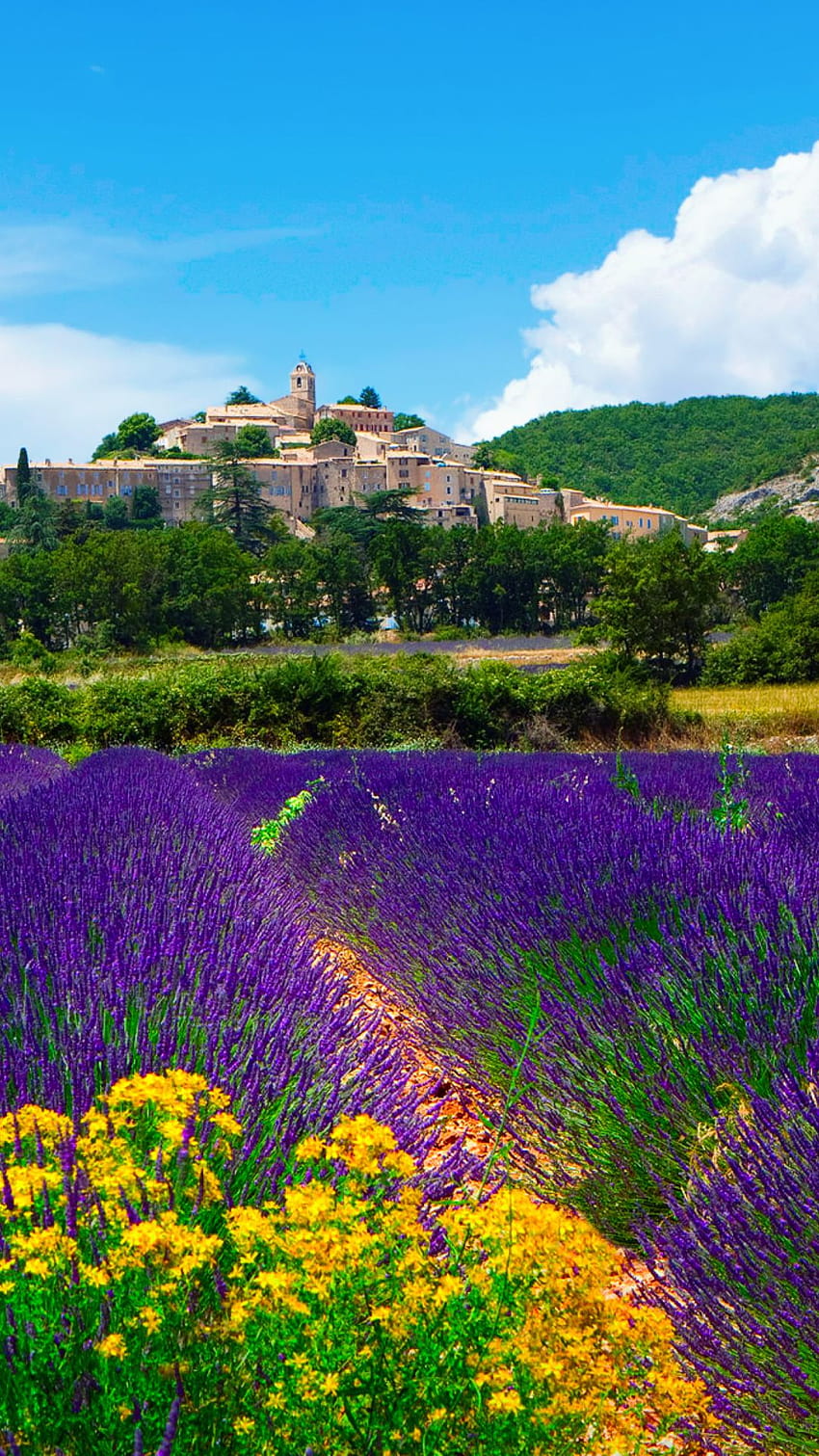 Best 4 Provence Lavender on Hip, 프로방스 프랑스 HD 전화 배경 화면