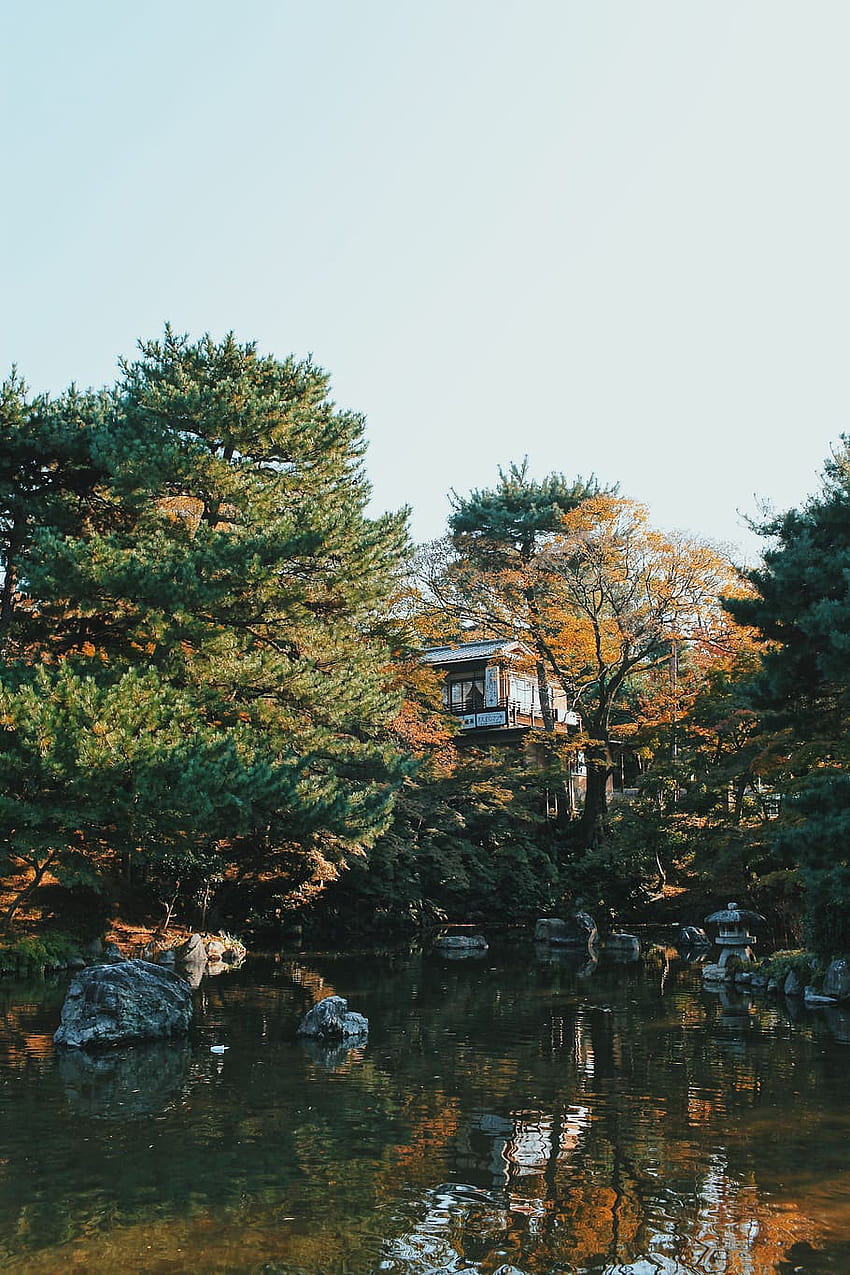Japan, Higashiyama Ward, Maruyama Park, Autumn, Lake HD phone wallpaper