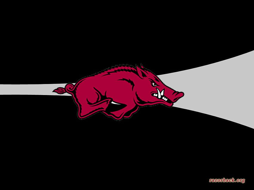 5 Arkansas Razorback for iPhone, vintage razorback HD wallpaper