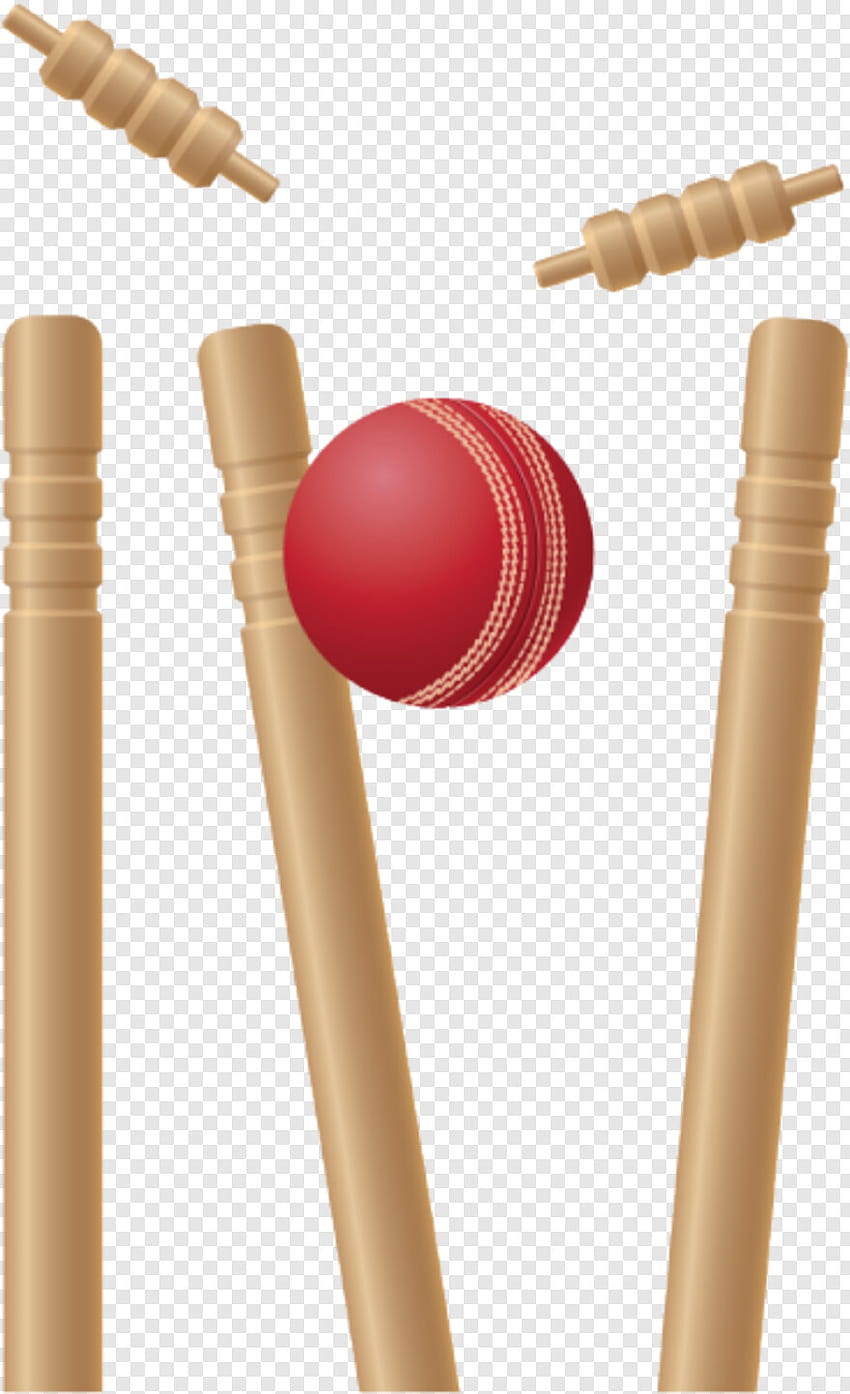 Toco de críquete, bola de natal, bola de basquete, logotipo de Dragon Ball, vetor de bola de críquete, taco e bola de críquete Papel de parede de celular HD