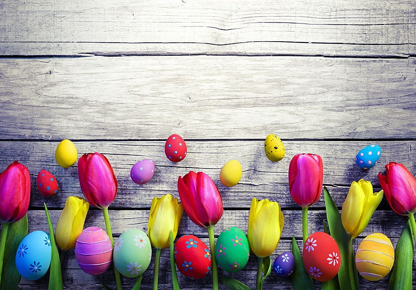 Paskalya Yumurtaları Laleler Çiçek Şablonu tebrik kartı panoları, lale paskalyası HD duvar kağıdı