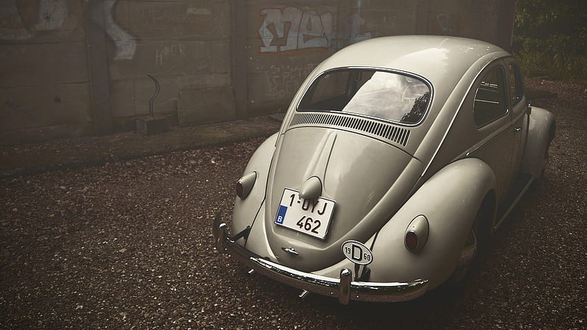 Volkswagen Beetle Vintage, Cars, Backgrounds, and HD wallpaper