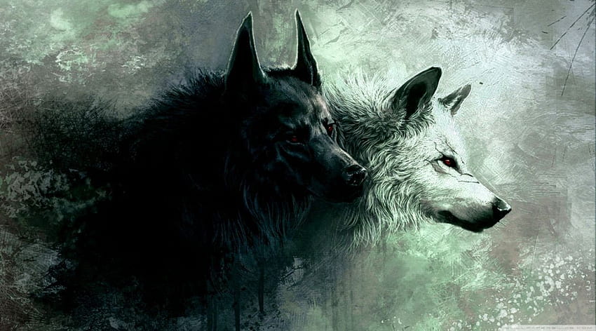 Love wolf couple HD wallpapers  Pxfuel