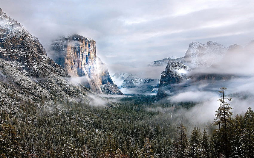 Forest snow winter mountains fog clouds landscape, 1920x1200, Frosty ...