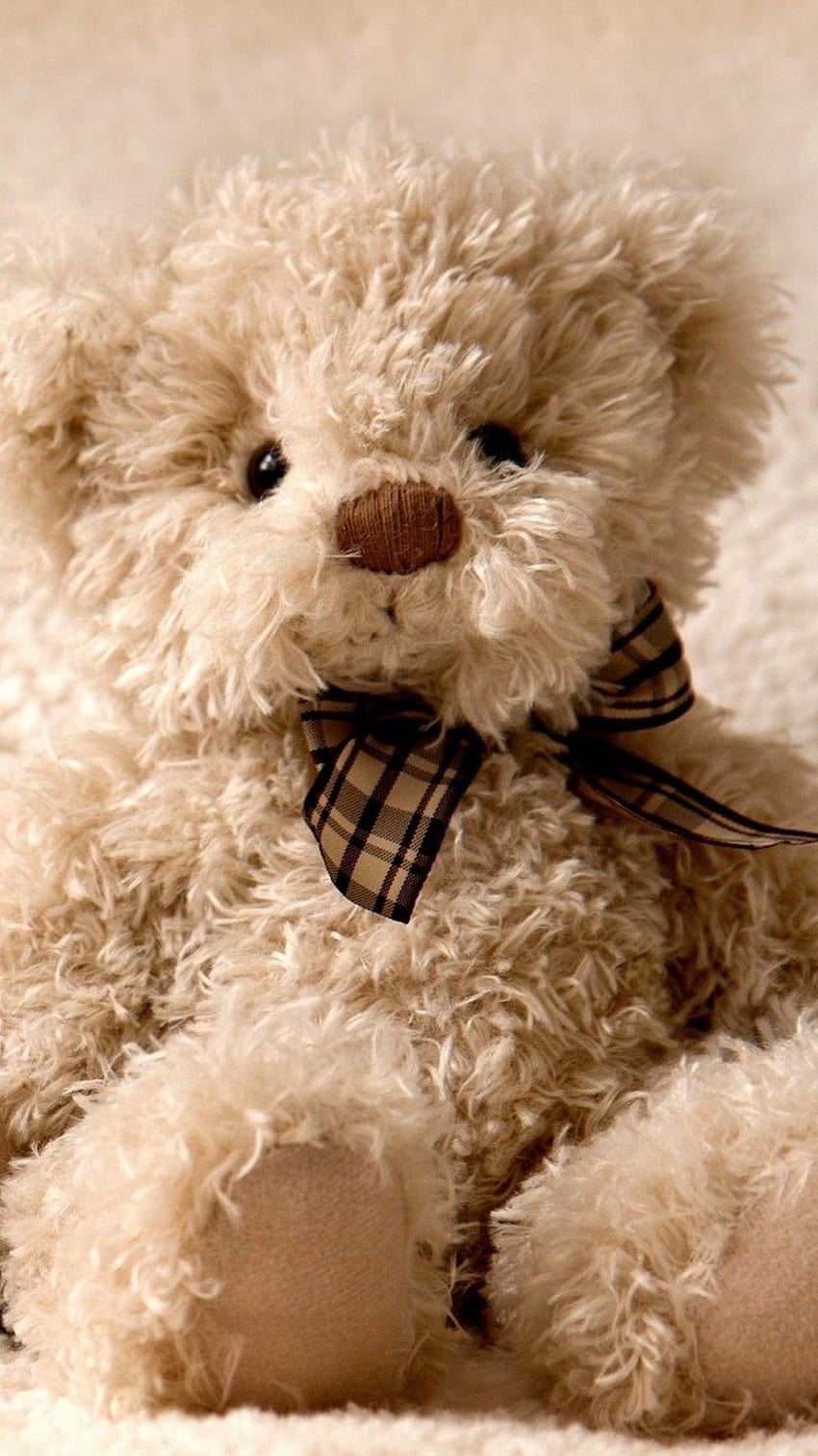 Cute Teddy Bear iPhone, cute teddy bear phone HD phone wallpaper ...